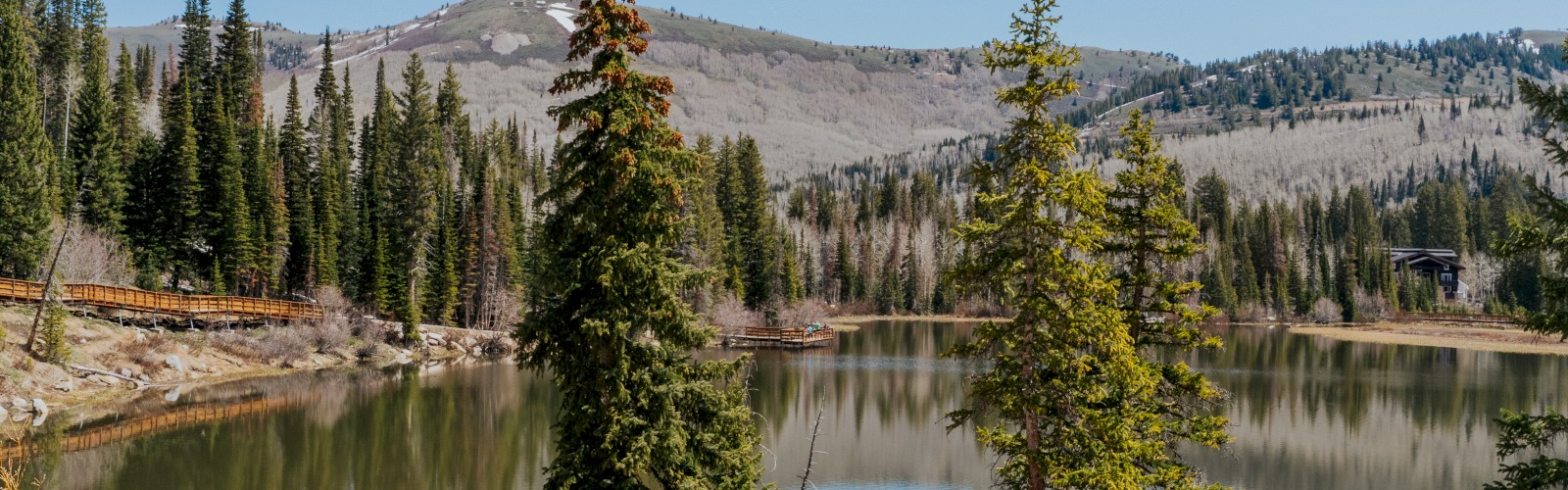 Black Rock Mountain Resort