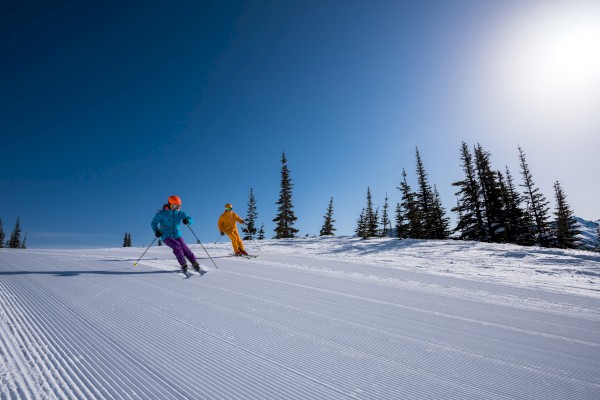 Two children are skiing down a snowy slope under a clear blue sky, surrounded by evergreen trees.