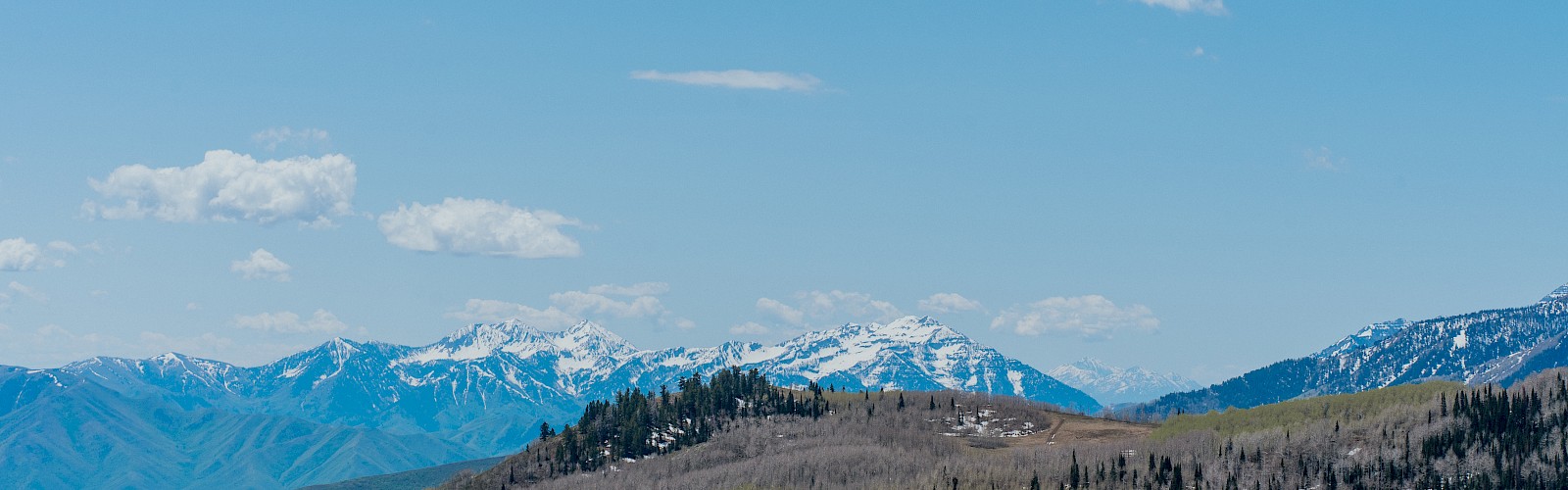 A vast landscape with rolling hills, some evergreen trees, and snow-capped mountains under a partly cloudy blue sky.