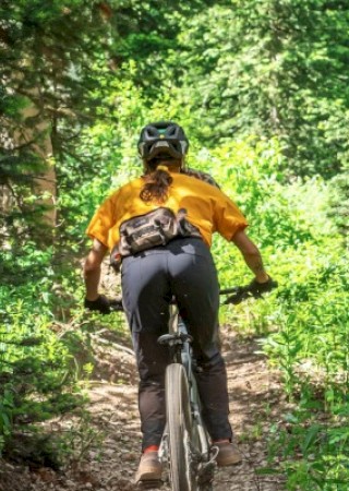 A person wearing a yellow shirt and black pants is riding a mountain bike through a sunny forest trail with lush green trees.