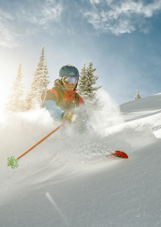 A person skiing on fresh snow in a winter landscape with trees, under a partly cloudy sky, enjoying an outdoor winter activity.