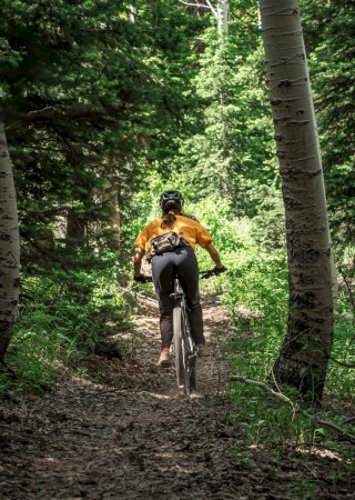 A person in an orange shirt and helmet rides a mountain bike on a dirt trail through a lush, green forest.