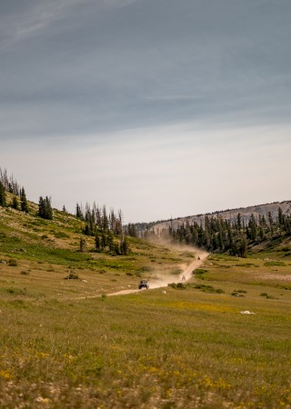 A dirt road runs through a green valley surrounded by rolling hills and pine trees, with vehicles kicking up dust under a cloudy sky.
