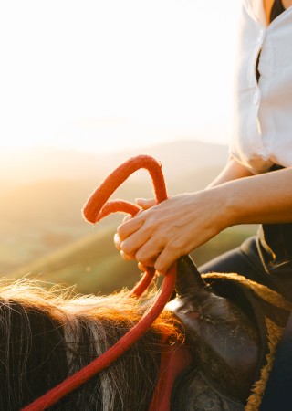 A person is riding a horse on a scenic, sunlit hilltop, holding the reins with the setting sun in the background.