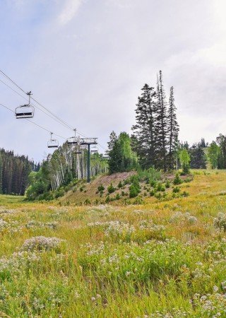 A ski lift runs over a grassy, flower-filled meadow surrounded by forested hills under a cloudy sky.