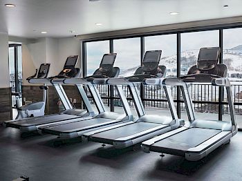 The image shows a gym with four treadmills facing large windows with a scenic, snowy mountain view in the background.