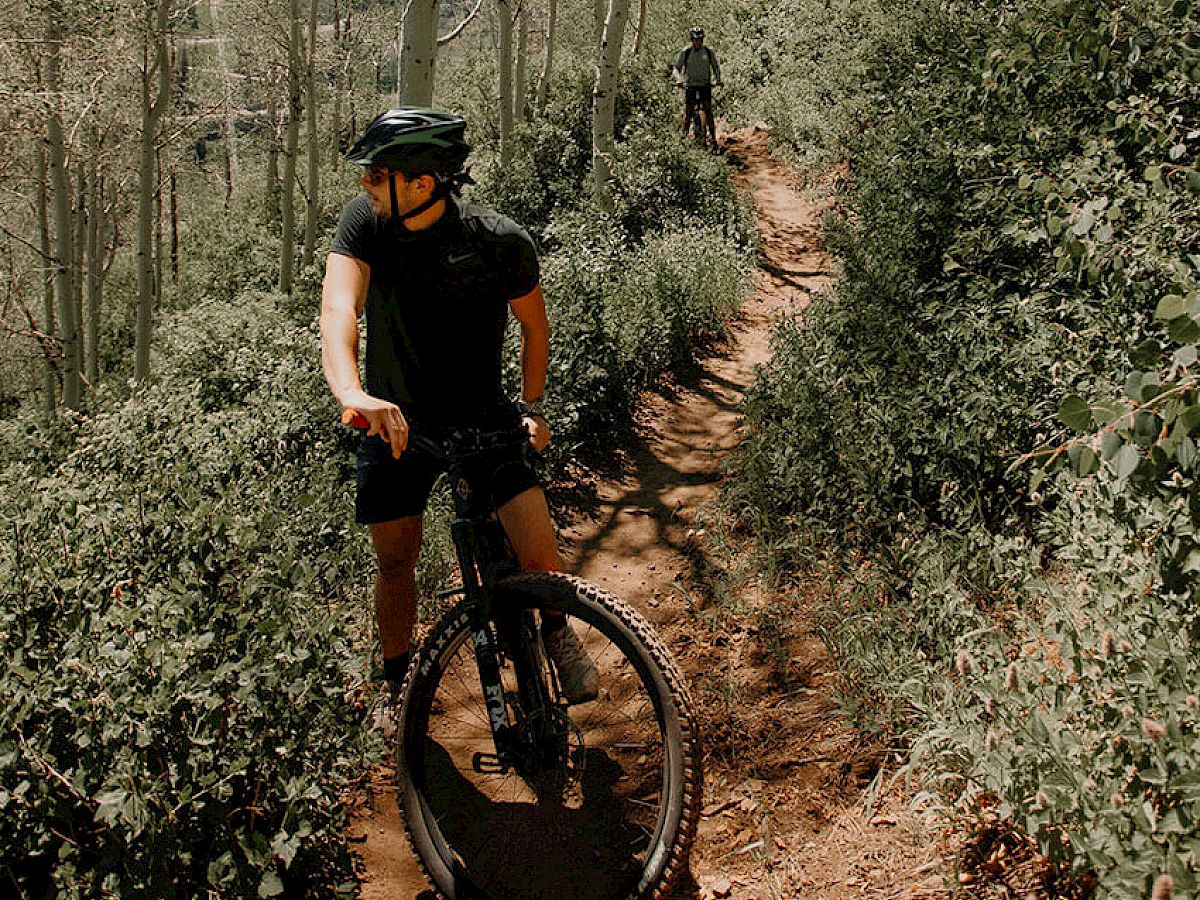 Two cyclists ride their mountain bikes on a narrow dirt trail through lush green vegetation, with one rider pausing while the other continues.