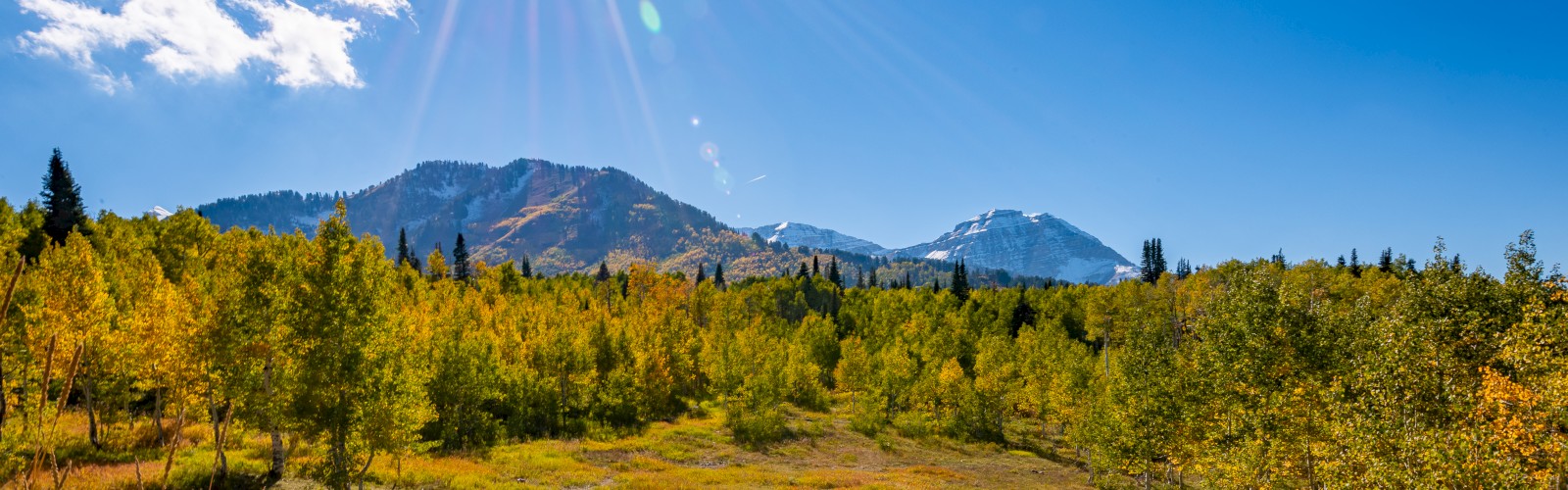 A sunny landscape with mountains, a clear blue sky, and trees in autumn colors filling the foreground.