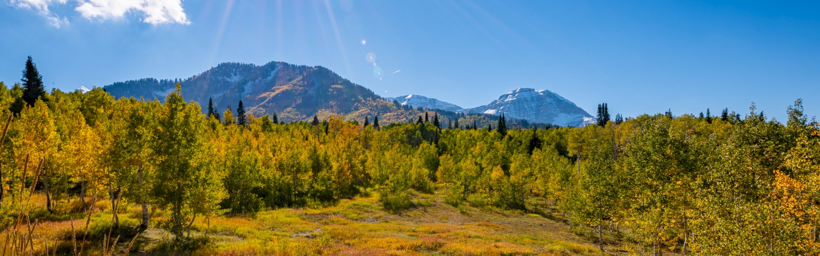 A sunny landscape with a grassy meadow, autumn trees, and distant mountains under a clear blue sky, capturing the essence of a peaceful day.