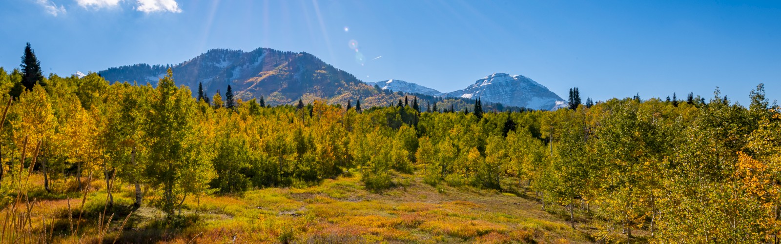 A scenic landscape with mountains, a clear blue sky, and the sun shining over a forested area with green and orange foliage.