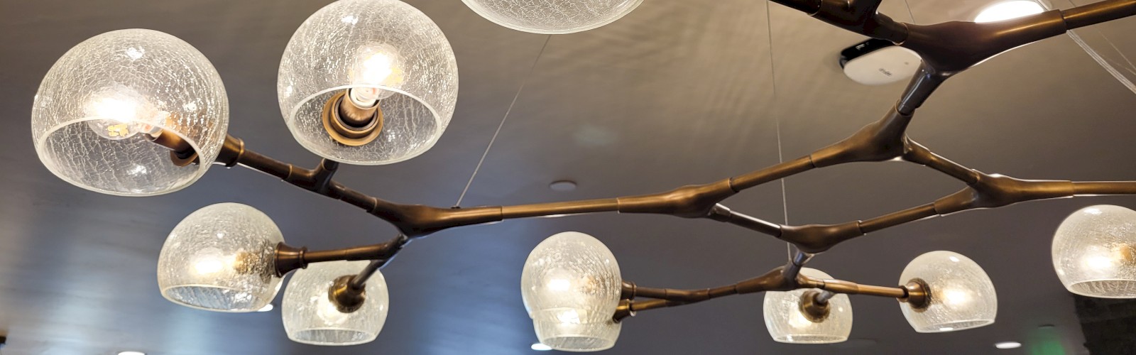The image shows a decorative ceiling light fixture with multiple globes containing light bulbs, resembling a modern and artistic design.