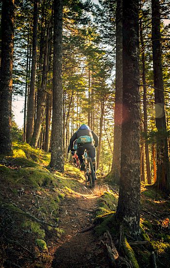 A person in a blue jacket rides a mountain bike on a forest trail surrounded by tall trees with sunlight filtering through the branches.