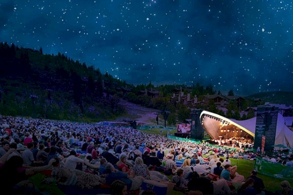 A large outdoor concert takes place at night under a starry sky, with an audience seated on a grassy hillside in front of an illuminated stage.