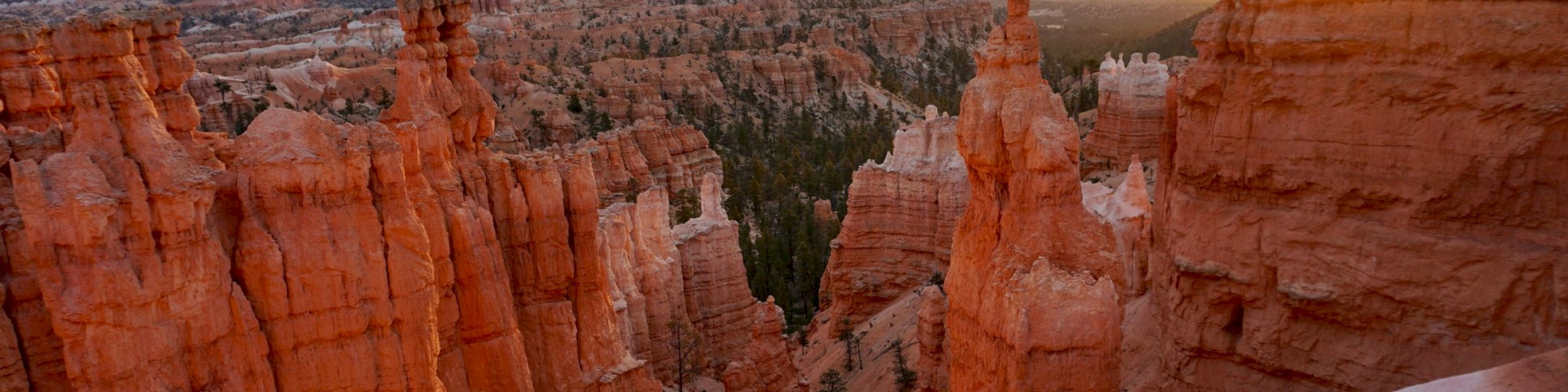A stunning canyon landscape with tall, reddish rock formations at sunrise, showcasing the beauty of natural erosion and geological formations.