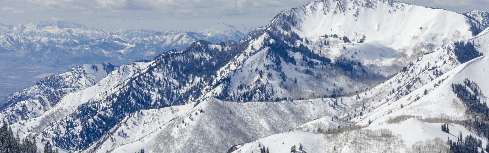 A snowy mountain landscape with pine trees, clear skies, and distant peaks.