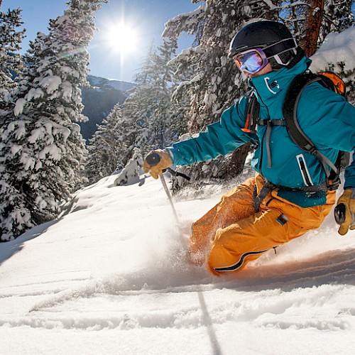 A skier in bright blue and yellow gear is skiing downhill on a sunny, snowy day, surrounded by snow-covered trees.