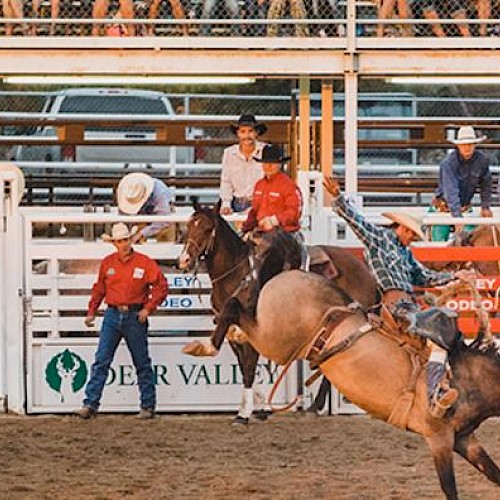 A rider is competing in a rodeo event, holding on to a bucking horse. Several other people watch from the fence and stands, ending the sentence.