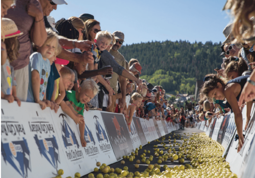 A crowd of people, including children, watch numerous yellow balls in a race event, with a backdrop of trees and a sunny sky.