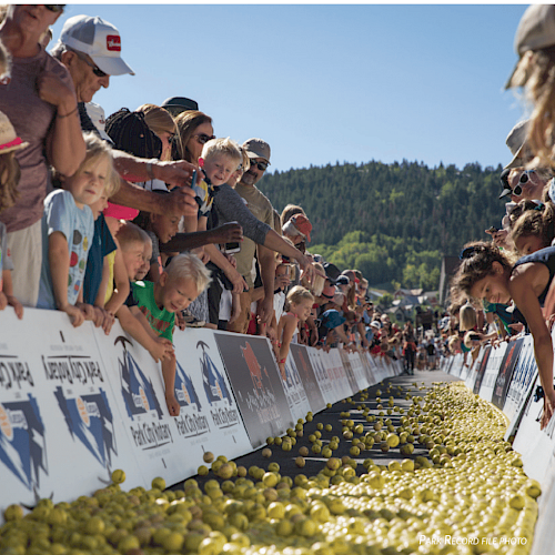 A crowd of people, including children, watch numerous yellow balls in a race event, with a backdrop of trees and a sunny sky.