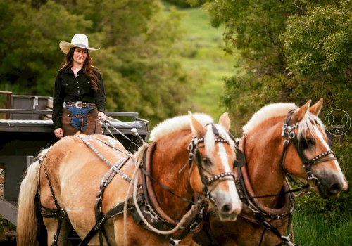 A person wearing a cowboy hat and black shirt rides a coach drawn by two beige horses in a green outdoor setting, surrounded by trees.