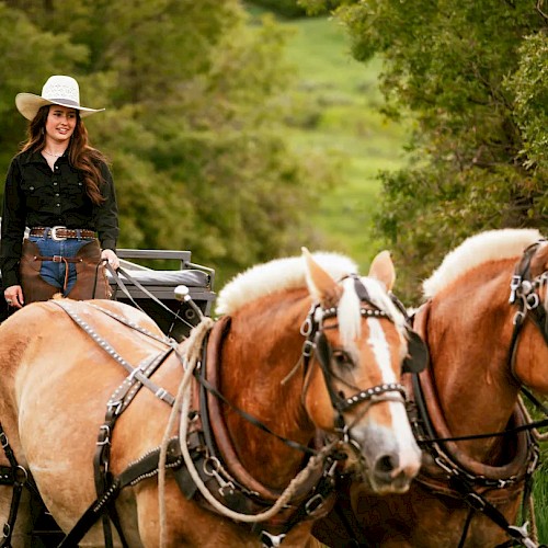 A person wearing a cowboy hat and black shirt rides a coach drawn by two beige horses in a green outdoor setting, surrounded by trees.