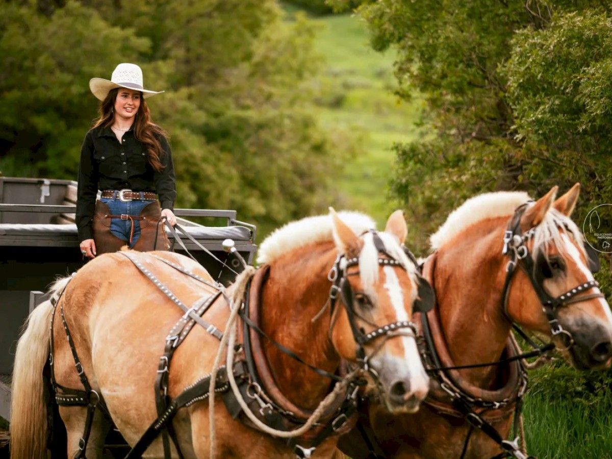 A person in a cowboy hat and dark shirt is seen steering two harnessed horses in a lush green outdoor setting.