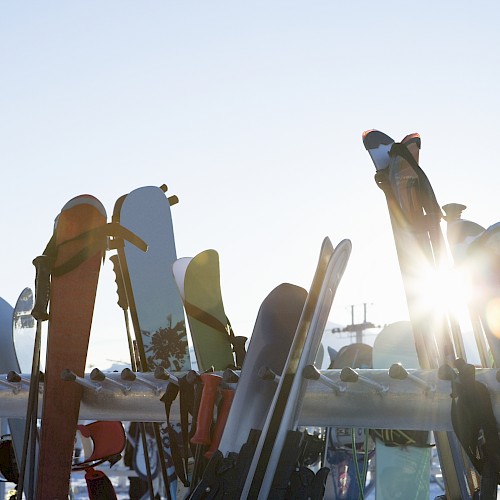 The image shows a row of skis and snowboards standing upright in the snow with the sun shining in the background.