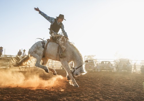 A rodeo scene with a cowboy riding a bucking horse, kicking up dust under bright sunlight, surrounded by a fenced area and spectators.