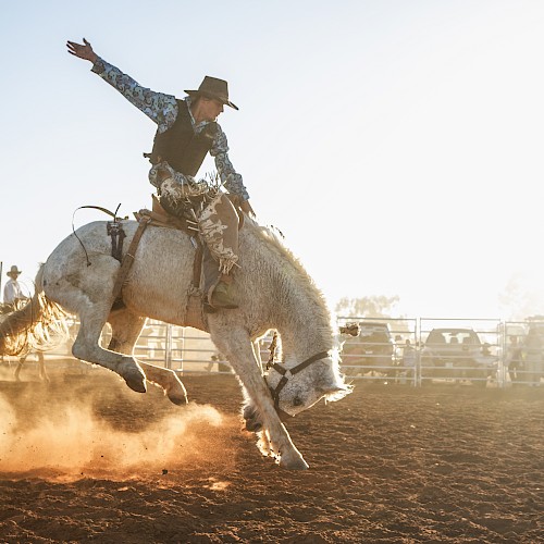 A rodeo scene with a cowboy riding a bucking horse, kicking up dust under bright sunlight, surrounded by a fenced area and spectators.