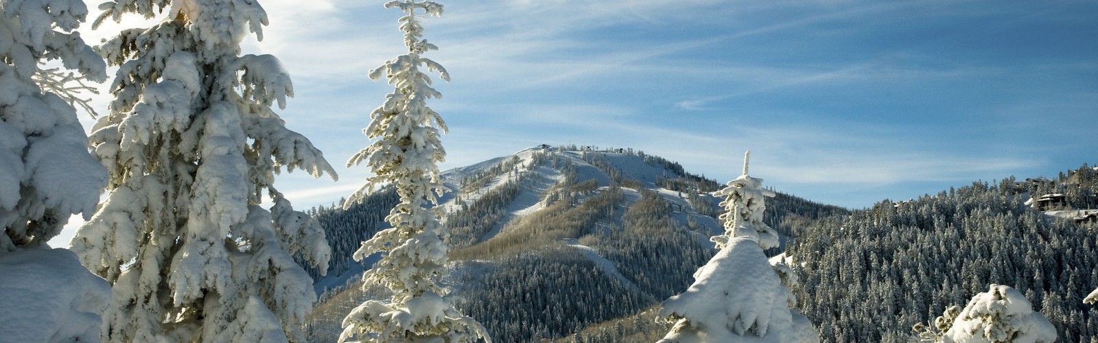 A snow-covered landscape with frosted trees and a mountainous backdrop under a blue sky.