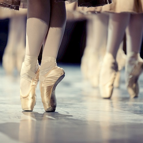 Ballet dancers in pointe shoes performing on stage; their elegant pose highlights grace and precision in motion.
