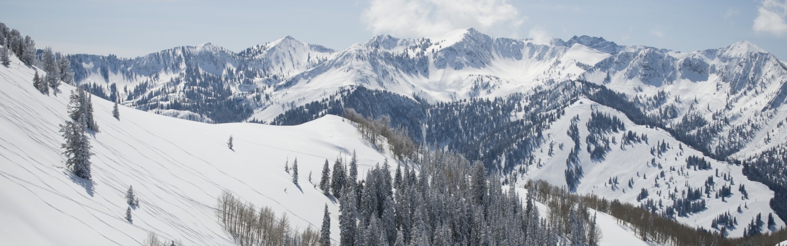 A snowy mountain landscape with pine trees and clear skies stretches across the horizon, creating a serene winter scene.