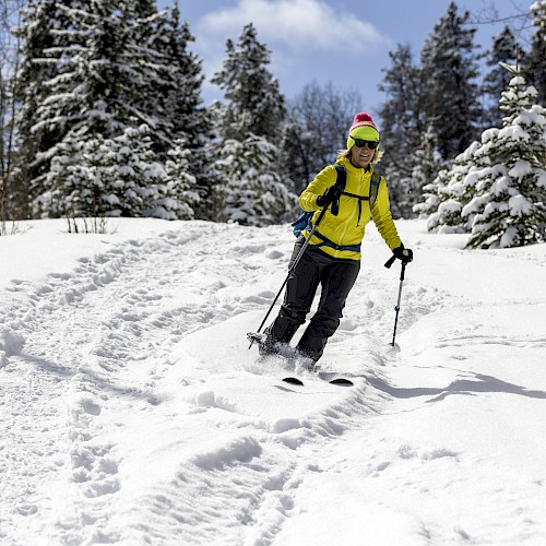 A person is skiing down a snowy slope, surrounded by snow-covered trees and a bright blue sky.