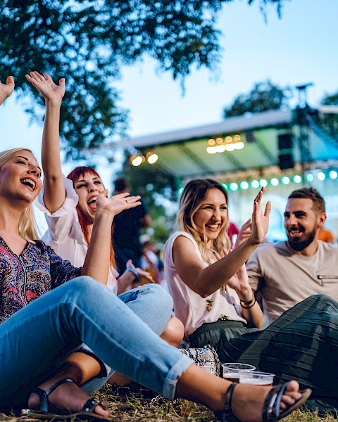 A group of people sit on the grass, enjoying a festival atmosphere with raised hands and smiles, stage lights visible in the background.