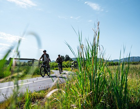 Two people are biking on a paved path amidst tall grass with a clear blue sky and distant hills in the background.