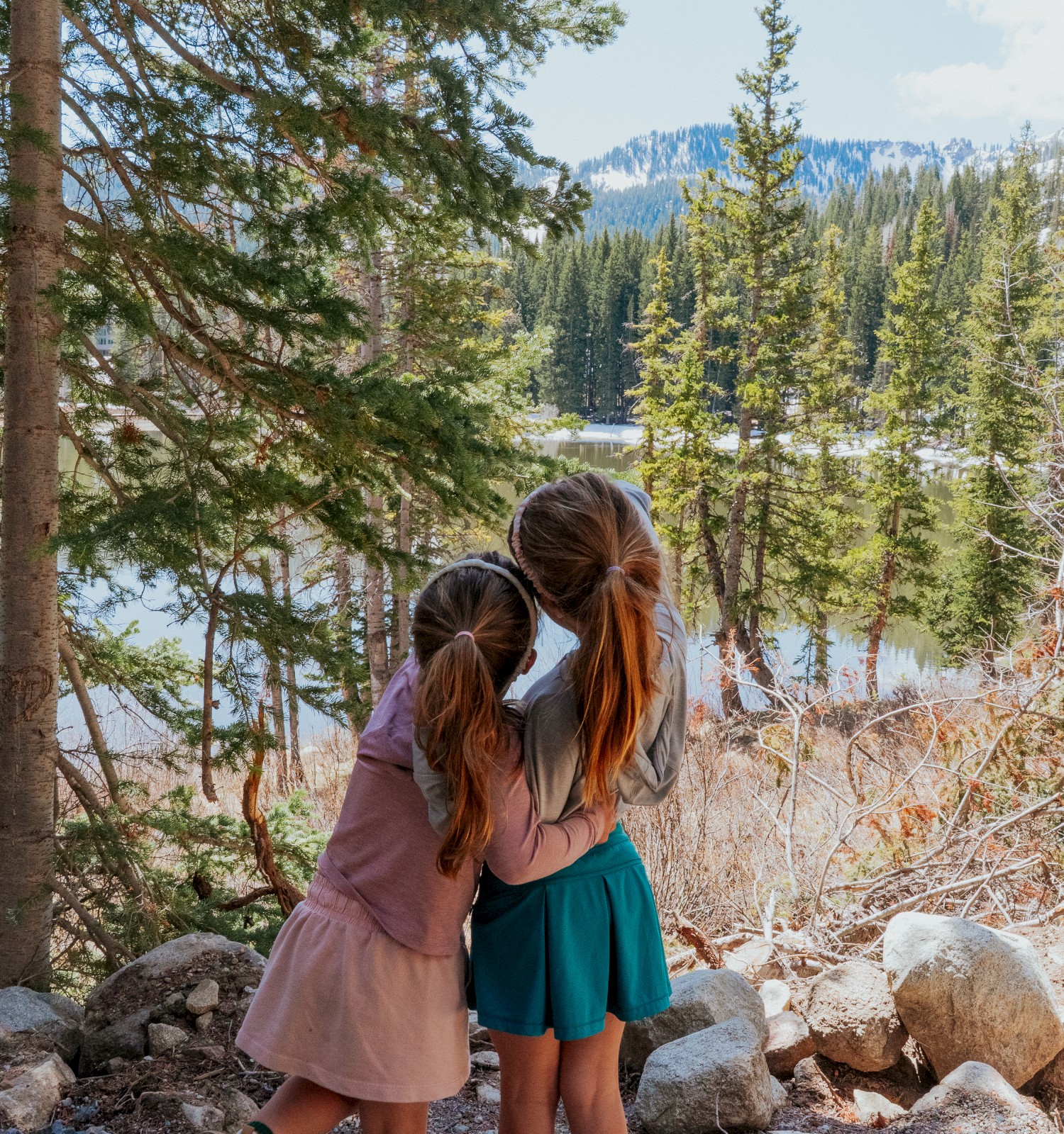 Two children stand together, facing a scenic view of a forest with mountains and a lake in the background.