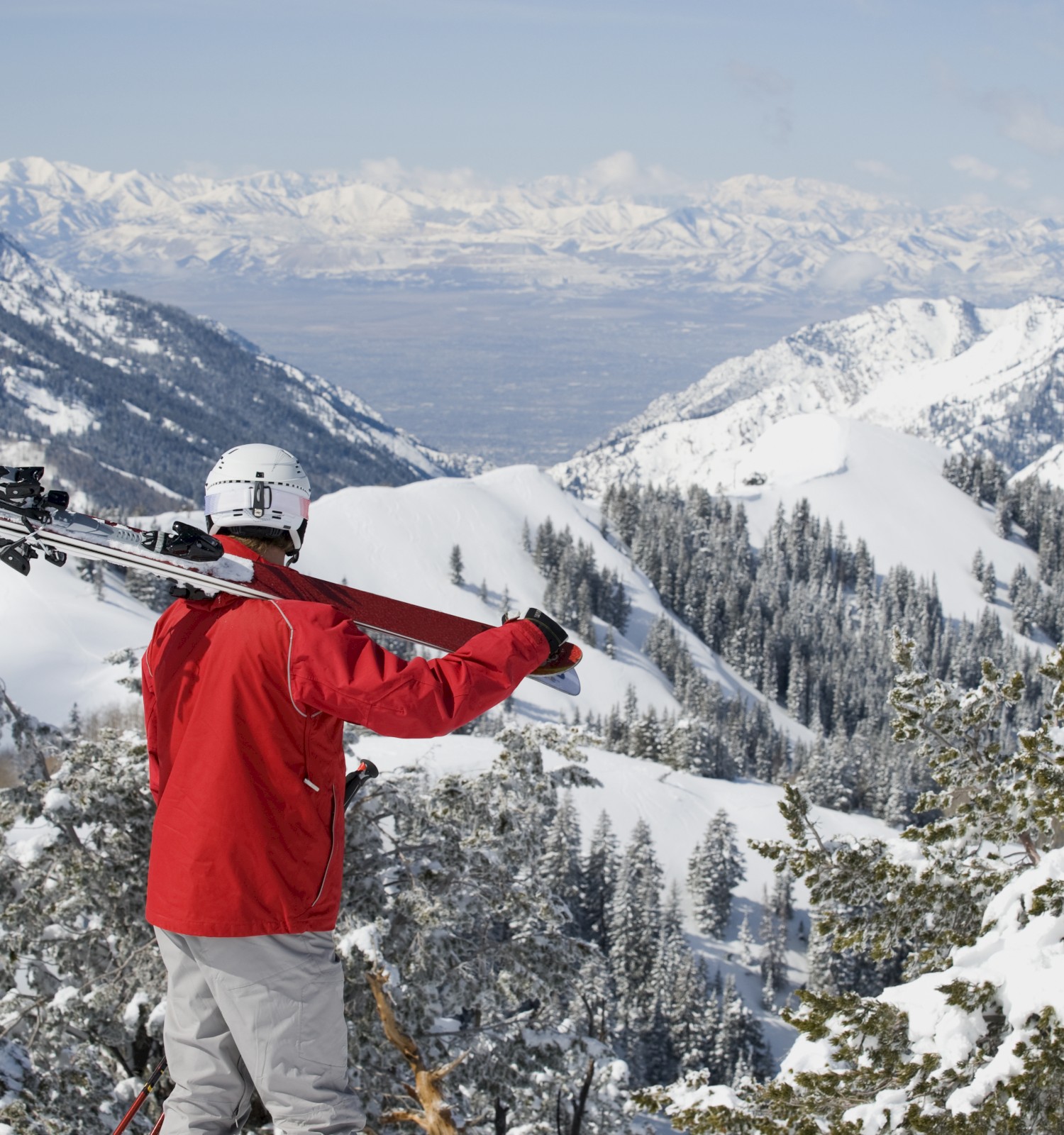 A person in a red jacket holds skis, overlooking a snowy mountain landscape with trees and distant peaks under a clear sky.