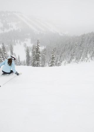 A person skiing down a snowy mountain slope on a cloudy, foggy day surrounded by pine trees.