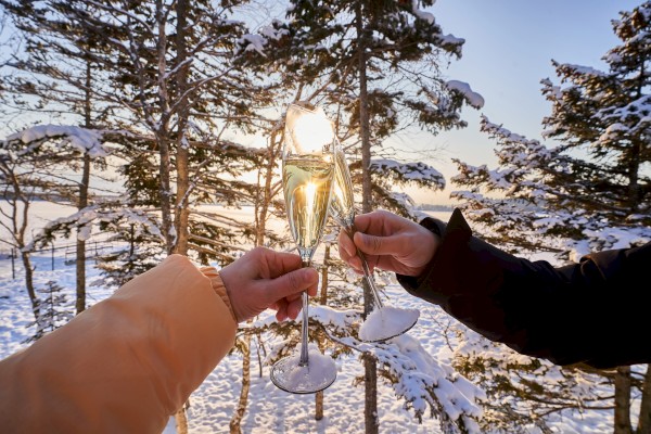 Two people toast with champagne flutes in a snowy forest as the sun sets behind the trees, celebrating together.