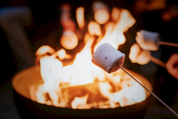 Toasty marshmallows roasting over a glowing campfire, skewers held near the flames as warm orange light dances around.